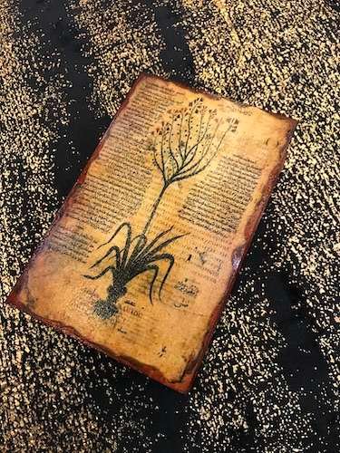 box HERBARIUM - immagine 3