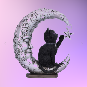GATTO DELLA LUNA E DELLE STELLE